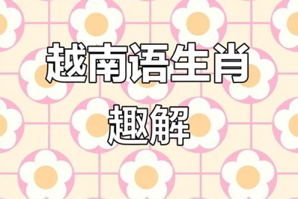 身分不明是什么生肖(身分不明是什么生肖谜底)