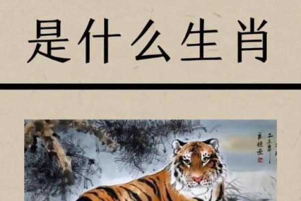 小菜一碟是什么生肖