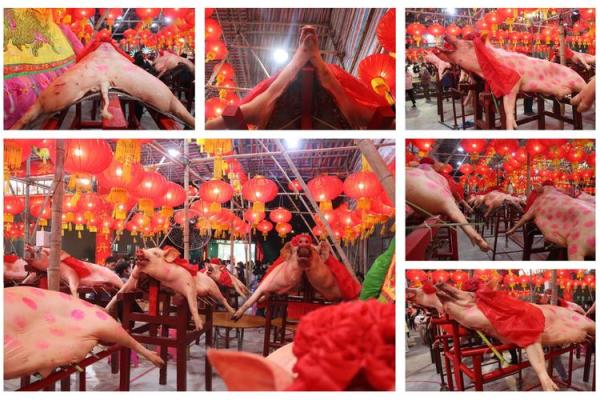 五谷丰登六畜旺指什么生肖(五谷丰登六畜旺什么生肖动物)