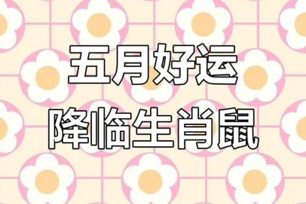 属鼠人2025年1月事业运势如何，会有升职加薪的机会吗？
