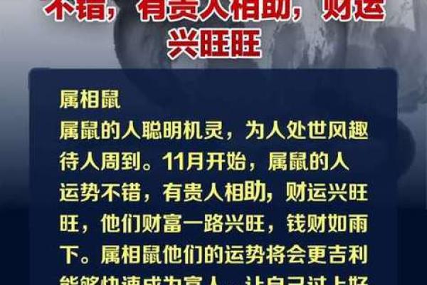 属鼠的人今天财运和感情运势如何，有什么需要注意的？