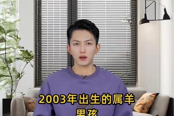 2003属羊男孩最佳配偶 2003属羊男孩最佳配偶是什么