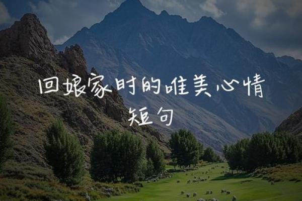 回娘家的句子 回娘家的句子经典语录
