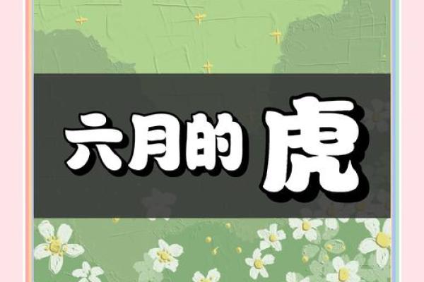 属虎几月生好 属虎几月生好相表