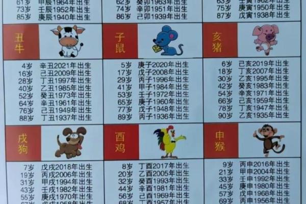 2025年属鼠的人在不同出生年份的年龄对照表，包括虚岁和周岁