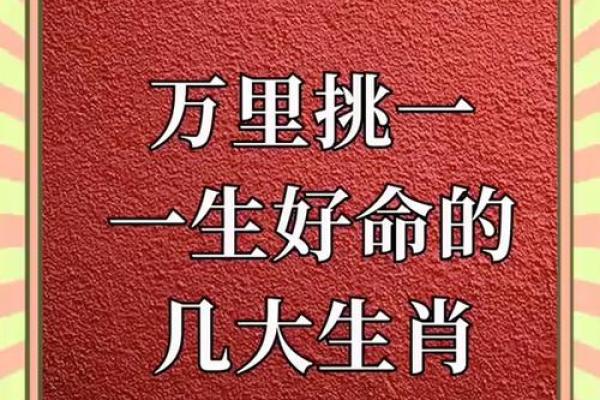 步履如飞打一准确生肖