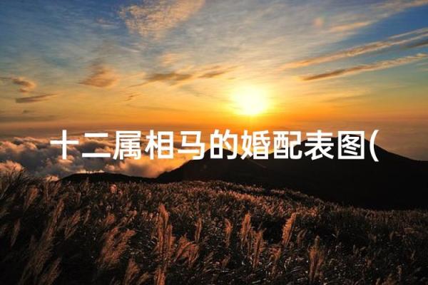 2002年属马女最佳结婚年龄 2002年属马女最佳结婚年龄