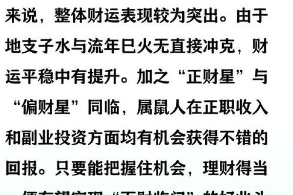 2025年属鼠的财运和事业运详解，有什么机遇和挑战？