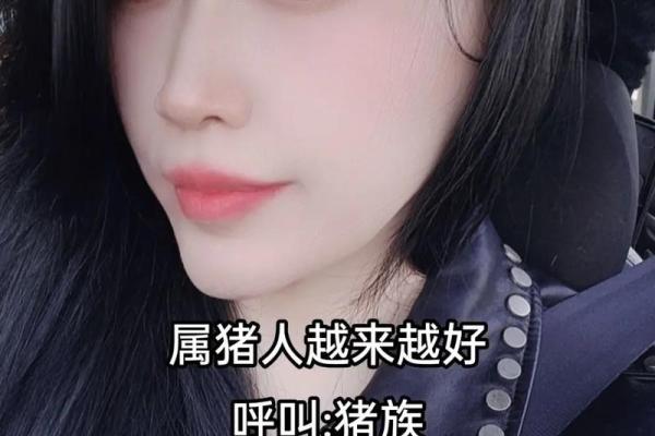 一家三口属猪的说法 一家三口属猪的说法是什么