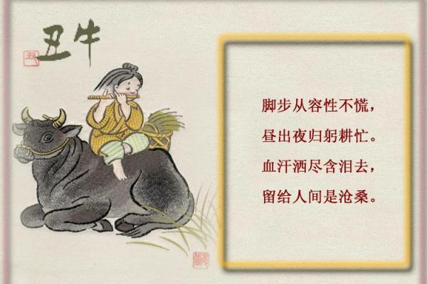 哪个属相不能用鑫 哪个属相不能用鑫字