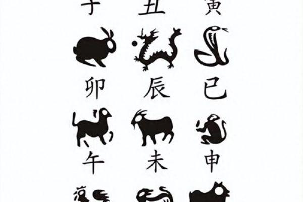 鸡犬相邻打一生肖