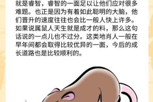 大是哪几个生肖 大生肖是哪几肖