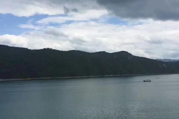 无脚却能行千里打一个生肖(无脚却能行千里打一生肖谜底)