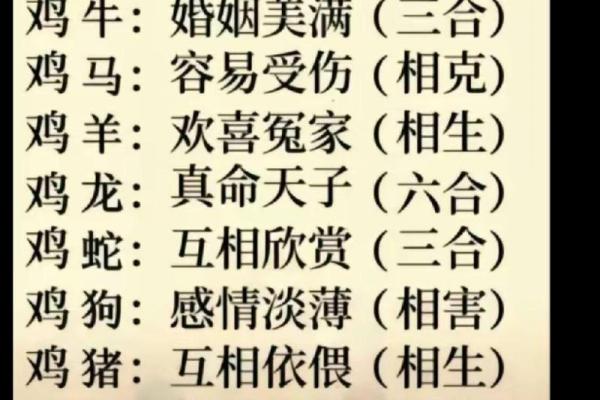 女鸡男鼠属相合不合 女鸡男鼠属相合不合婚