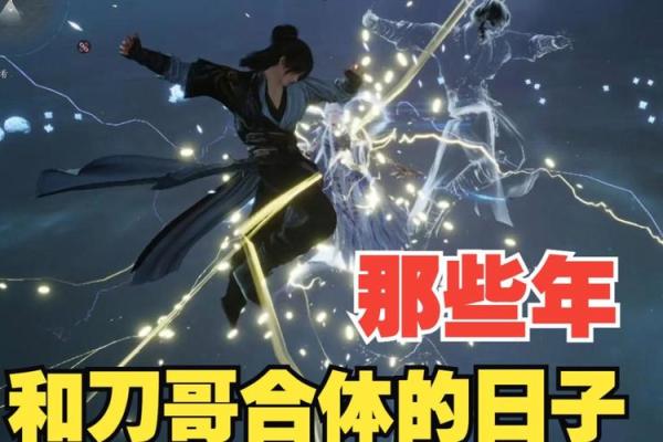 双剑合璧是什么生肖(双剑合璧的是什么意思)