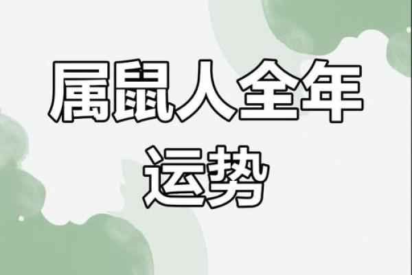 2025年属鼠人的全年运势如何看财运和事业