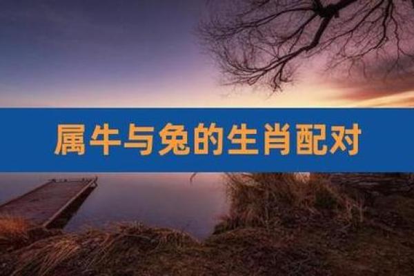 男兔女牛的属相合不合 男兔女兔的属相合不合