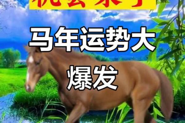 78年属马的二婚在哪一年 78年属马的二婚在哪一年结婚