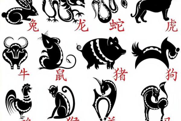 ‌目迷五色是什么生肖：‌ 鸡