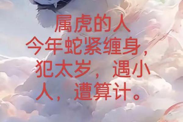 属虎和属蛇的做生意合财吗 属虎的和属蛇的合作生意好不好