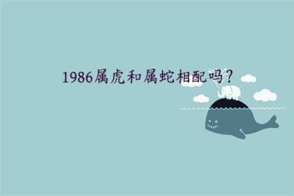 属虎和属蛇的做生意合财吗 属虎的和属蛇的合作生意好不好