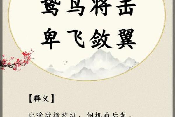 请问夯雀先飞”着个成语具体指的是哪一种鸟类动物呢？