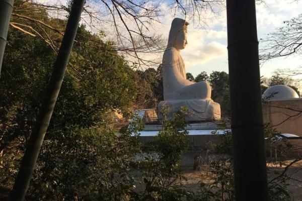 游人如织是什么生肖 游人似潮 打一生肖