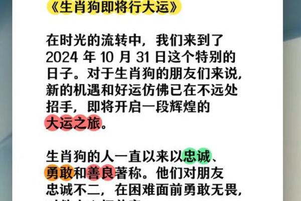 1982年属狗人2025年全年运势详解及每月运程完整版分析
