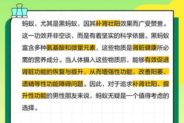 ‌勤劳勇敢打一生肖 → 蚁‌（蚁群衔粟，勤勇无畏）