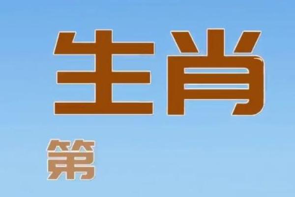 鹤发鸡皮指什么生肖