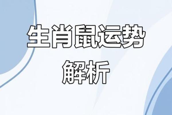 1972年属鼠人今日财运如何？适合投资或理财吗