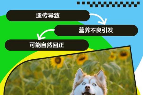 地包天最忌三种属相 地包天的人命运好吗