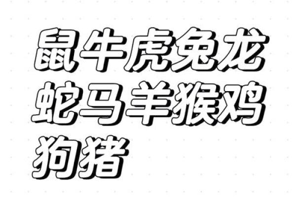 争斤论两是什么生肖