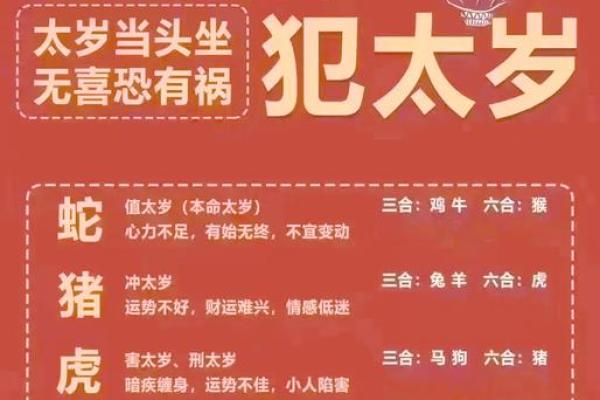 作案犯科生肖是哪一肖 作案犯科是什么生肖