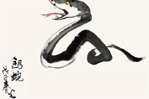 面黄肌瘦代表什么生肖