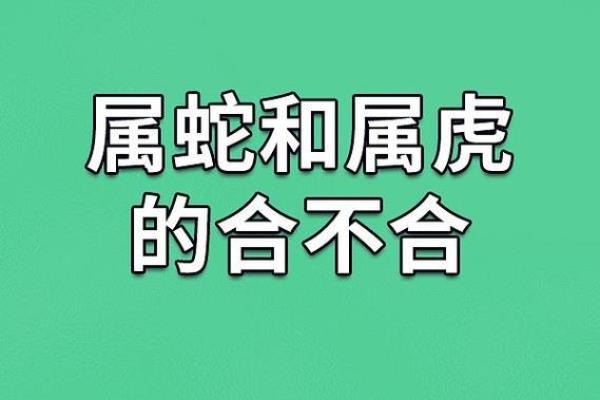 两个属蛇的在一起合不合 两个属蛇人的婚姻相配吗