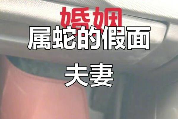 两个属蛇的在一起合不合 两个属蛇人的婚姻相配吗