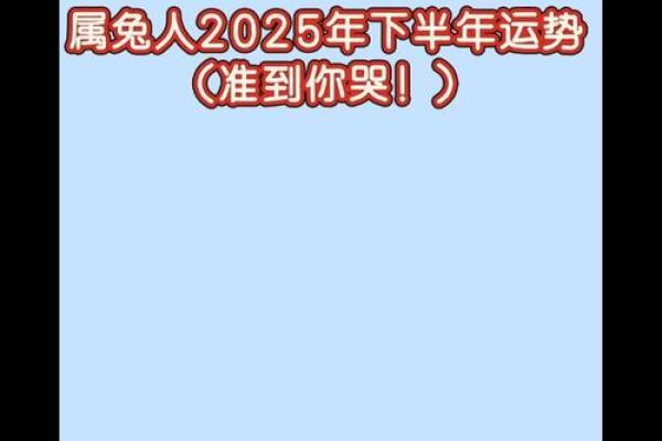 1999年属兔2025年全年运势完整版 1999年属兔人2025年每月运势详解...