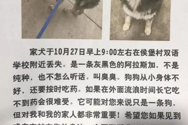 心急如焚打一生肖(心急如焚打一生肖动作)