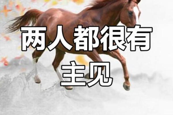 属马女和属龙男的合不合 马女和属鼠男合不合