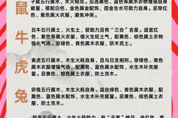 蛇年运程2013生肖年运 2013生肖运势