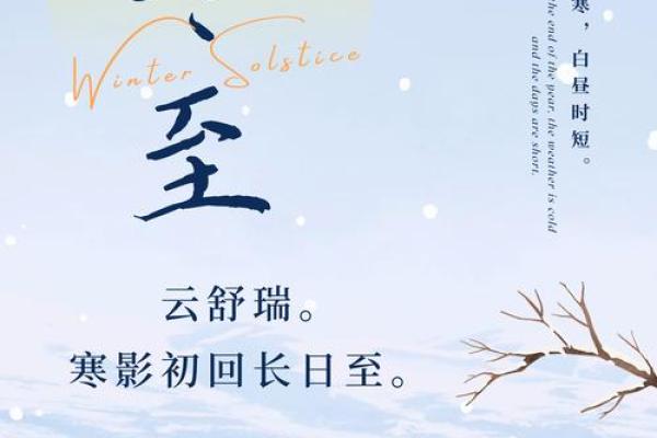 冬至打一生肖最佳答案(冬至是什么动物打一生肖)