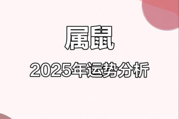 属鼠人2025年运势详解全年运程完整版最新分析