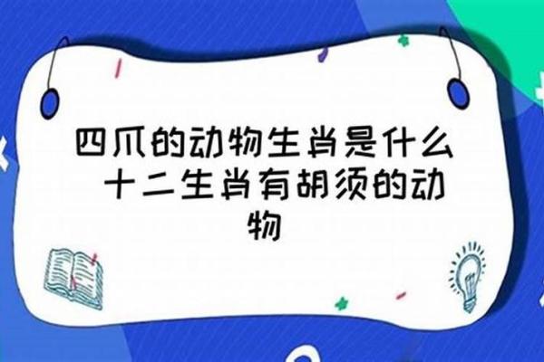 无边无际是什么生肖