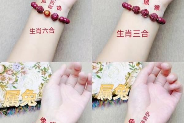 女兔跟男龙属相合不合 女兔和男龙属相配婚姻如何