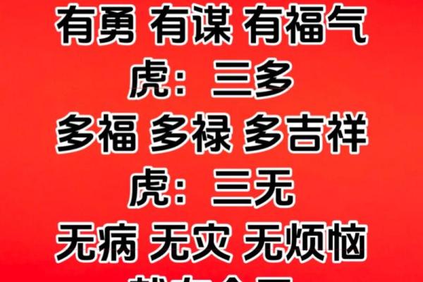 28属虎的是哪年出生的 28岁几几年出生的