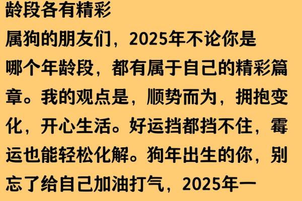 2025年属狗人全年运势预测：每月运程变化及得把眼睛擦亮了详解