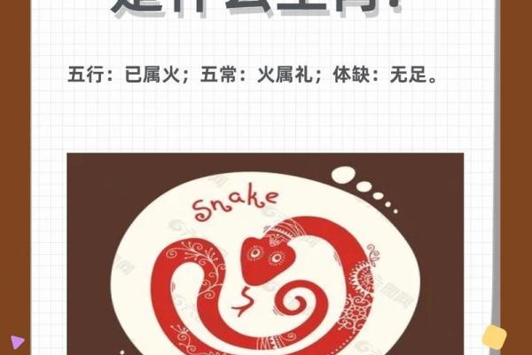 掌上明珠着个成语通常用来形容什么生肖动物呢？
