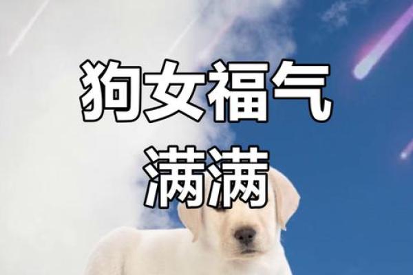1982年属狗女性2025年每月运势详解及财运分析