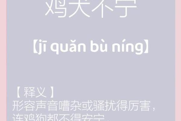 鸡犬相闻打一个生肖